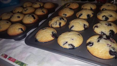 Blueberry muffins